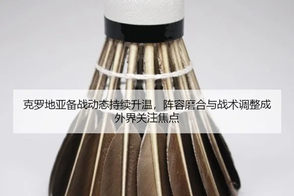 克罗地亚备战动态持续升温，阵容磨合与战术调整成外界关注焦点